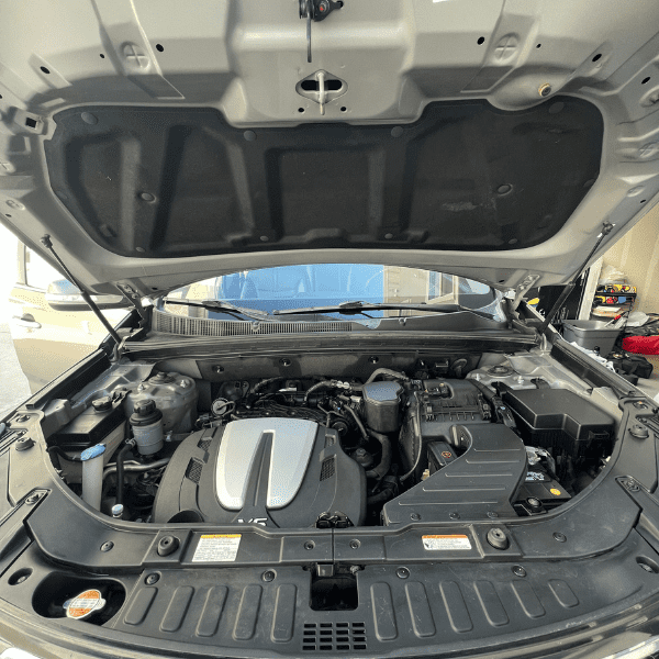 Engine Bay Detail After treatment