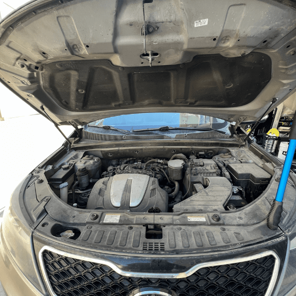 Engine Bay Detail Before treatment